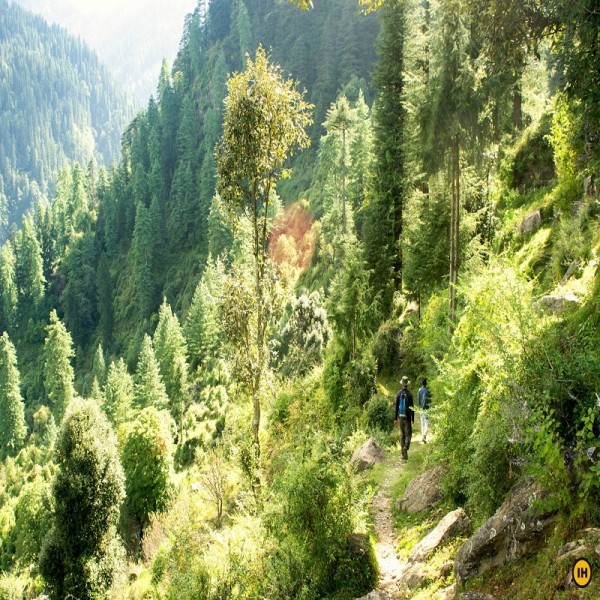 Sainj Valley Trek 4N/5D